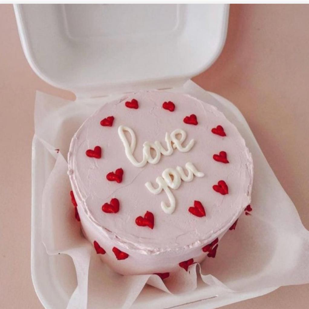 Pastel Bento Cake | Doon Memories