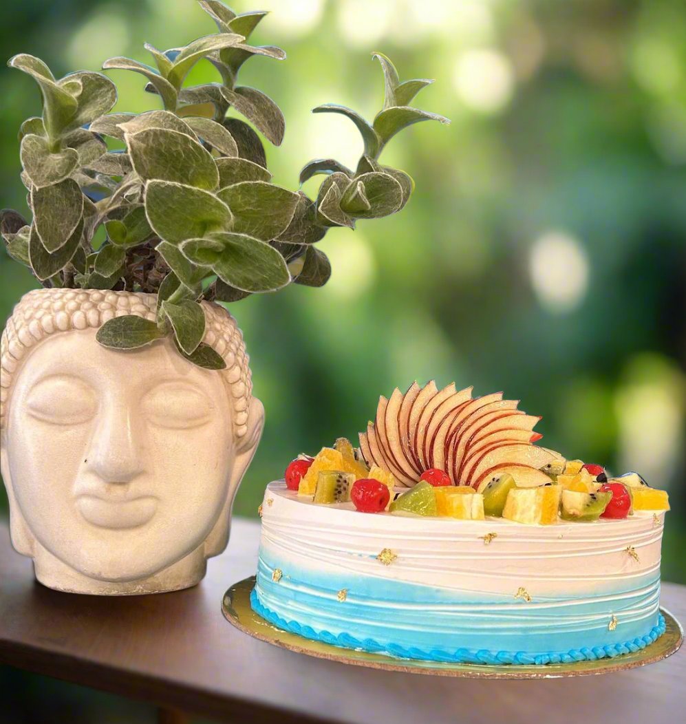 Delightful Fresh Fruit Cake | Doon Memories
