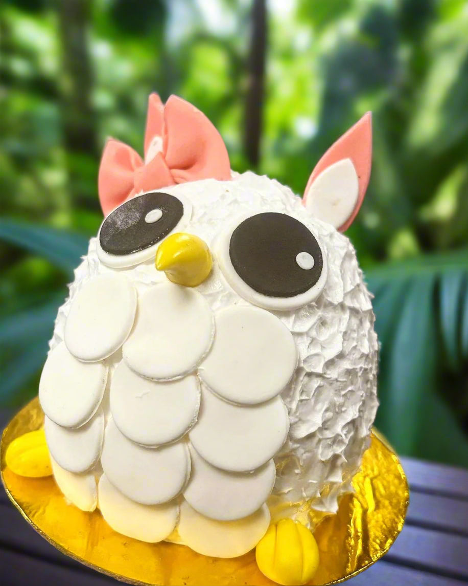 WHoo Lover's Cake For Kids | Doon Memories