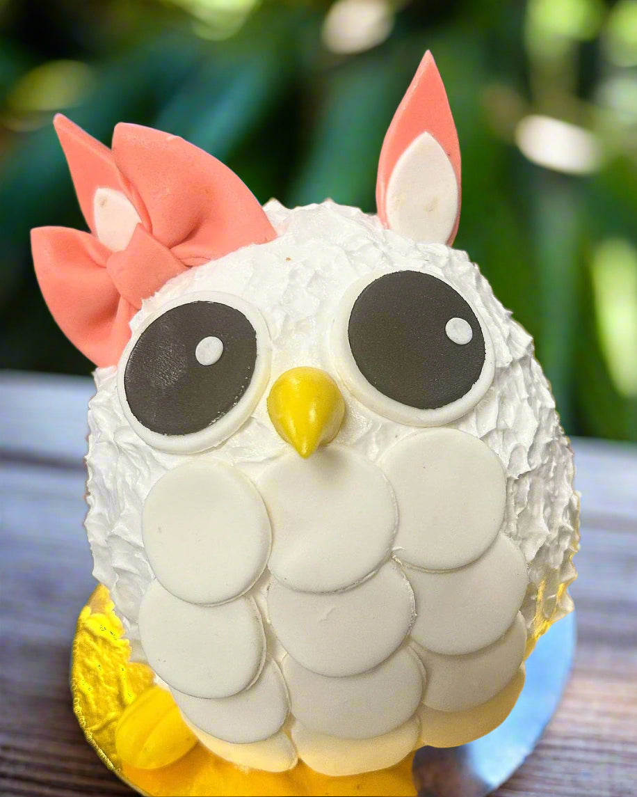 WHoo Lover's Cake For Kids