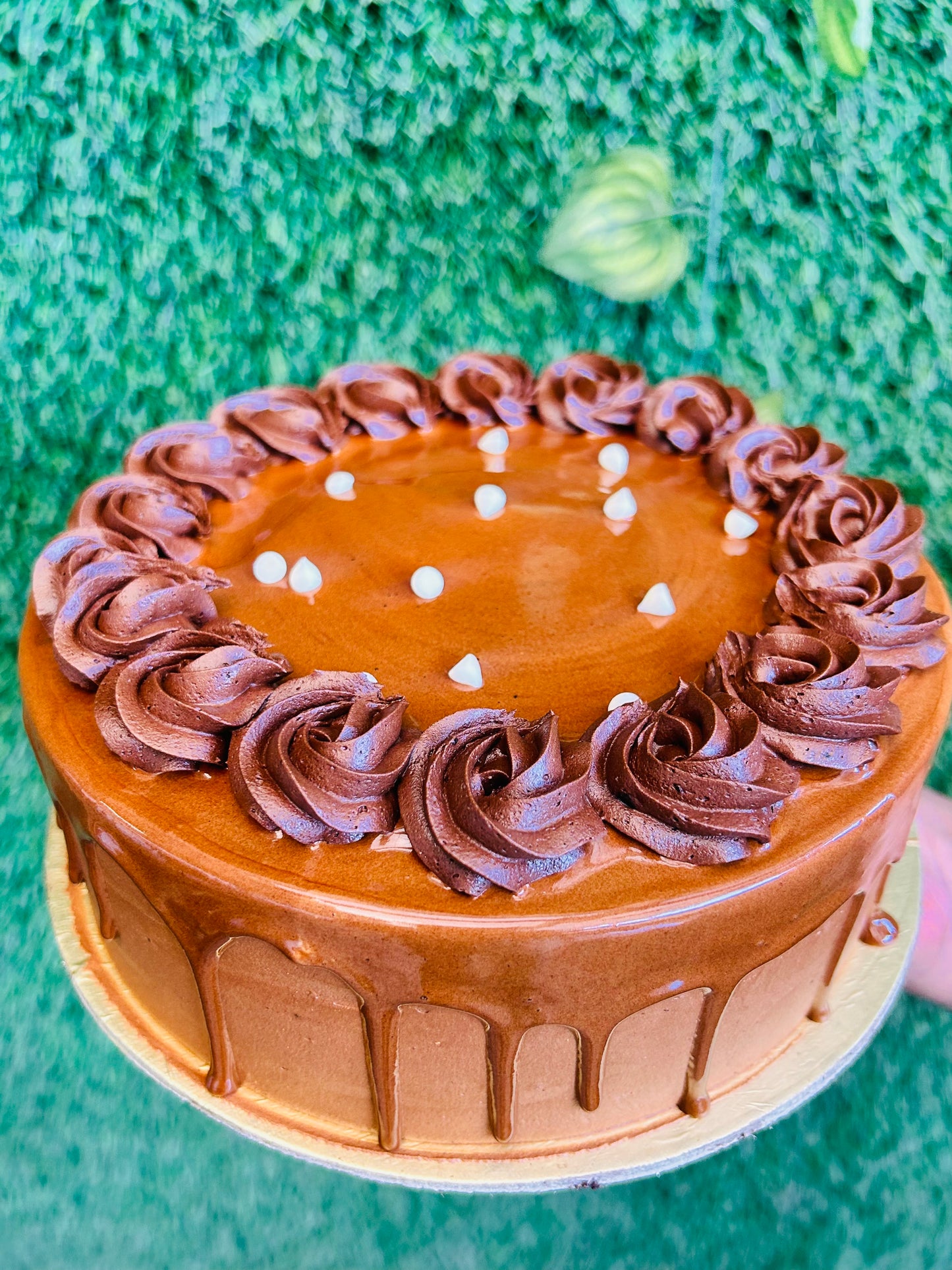 Chocolate Drizzle Delight (Eggless)