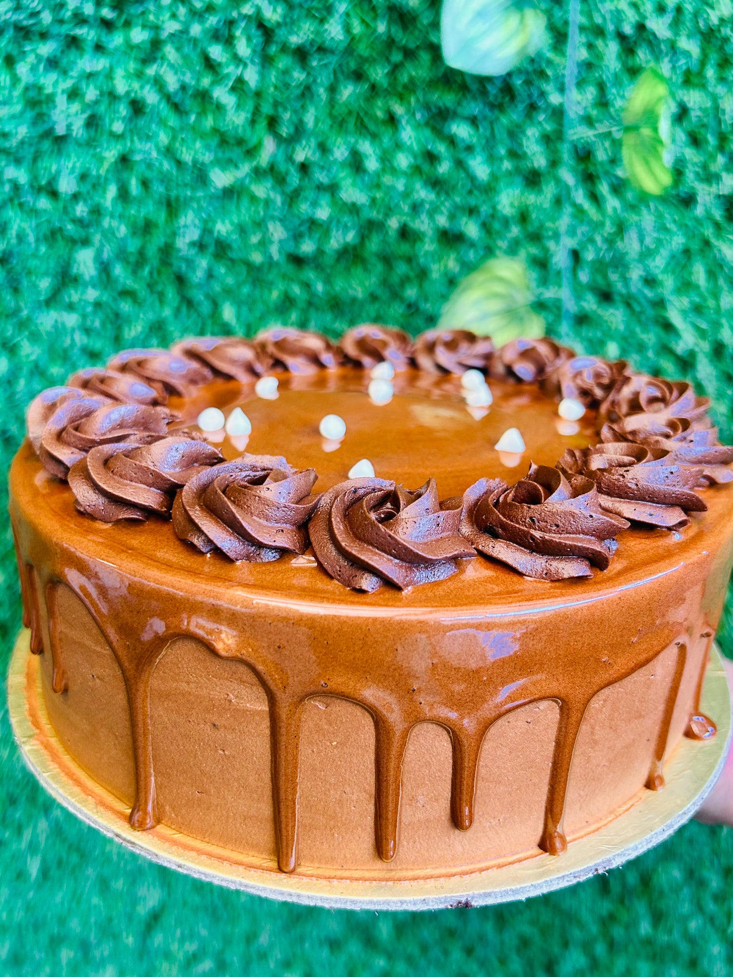 Chocolate Drizzle Delight (Eggless)