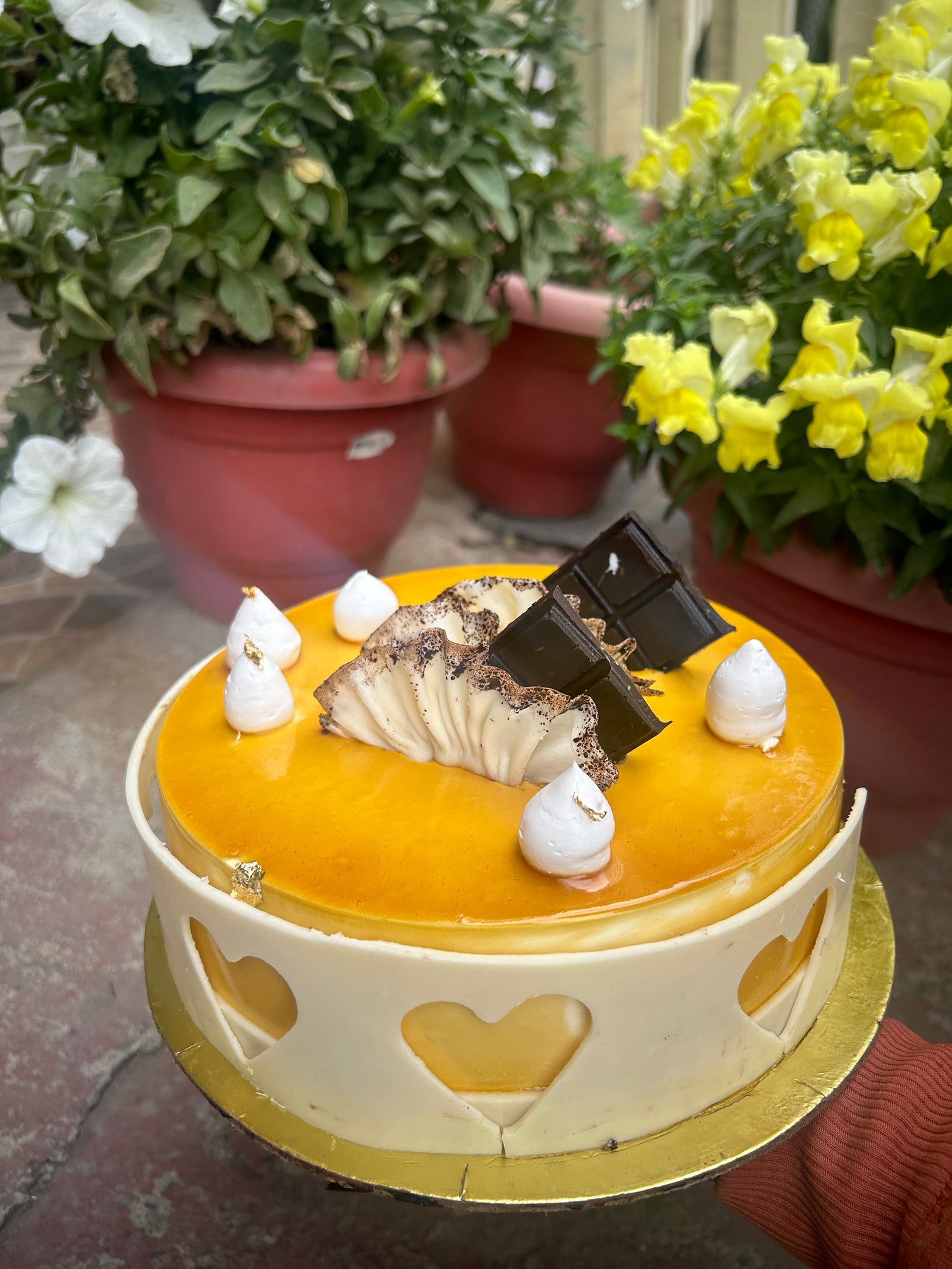 Golden Bliss Mango Mousse Cake | Doon Memories