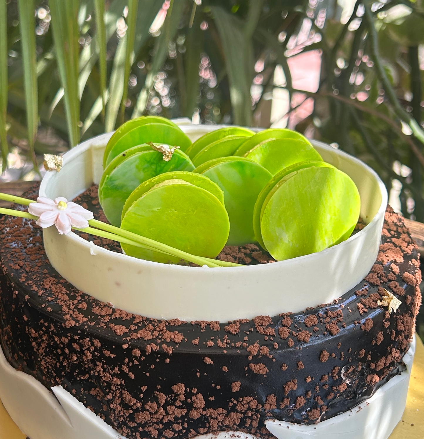 Lily Pond Black & White Chocolate Cake | Doon Memories