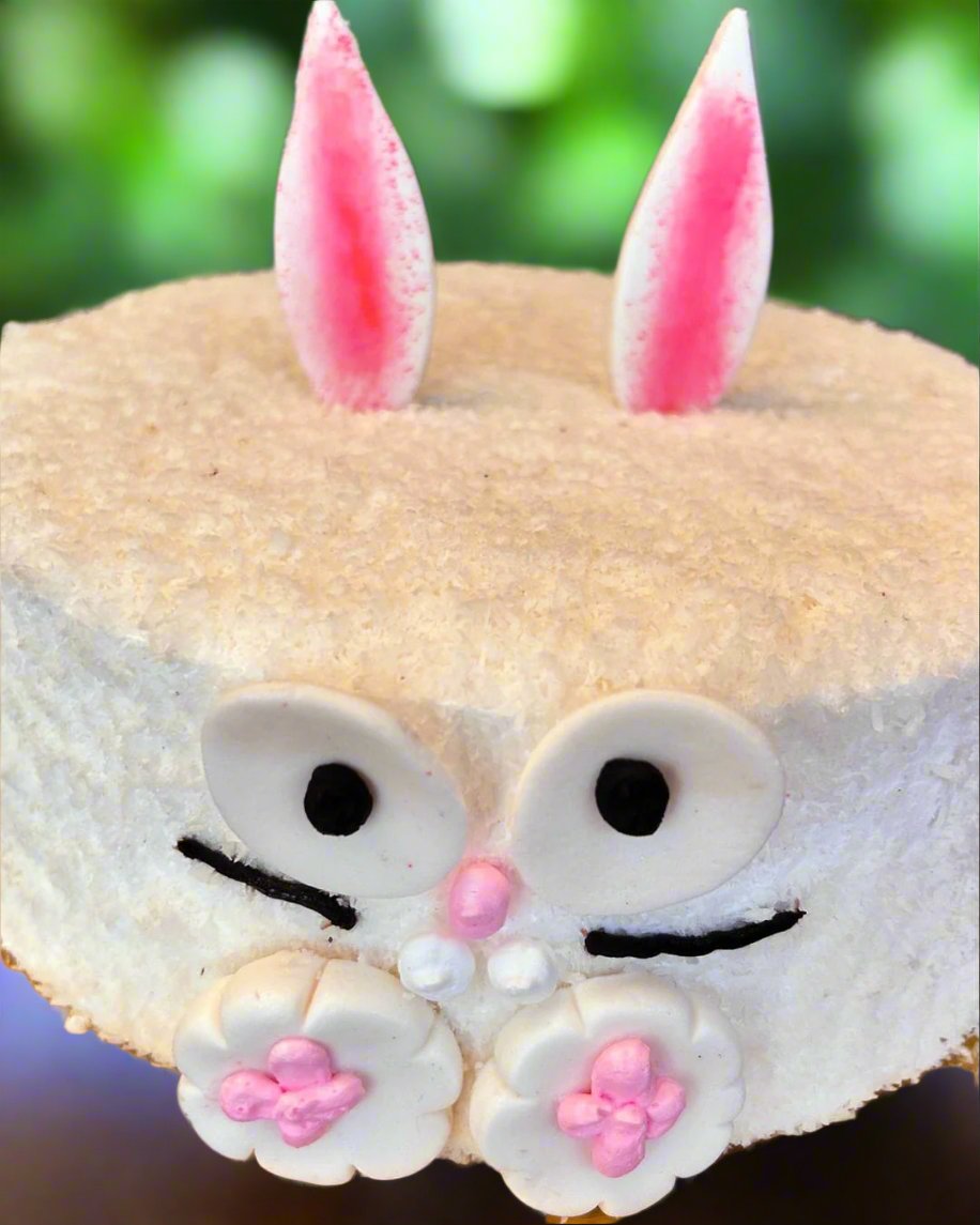 Bunny Sweet Delight theme cake | Doon Memories