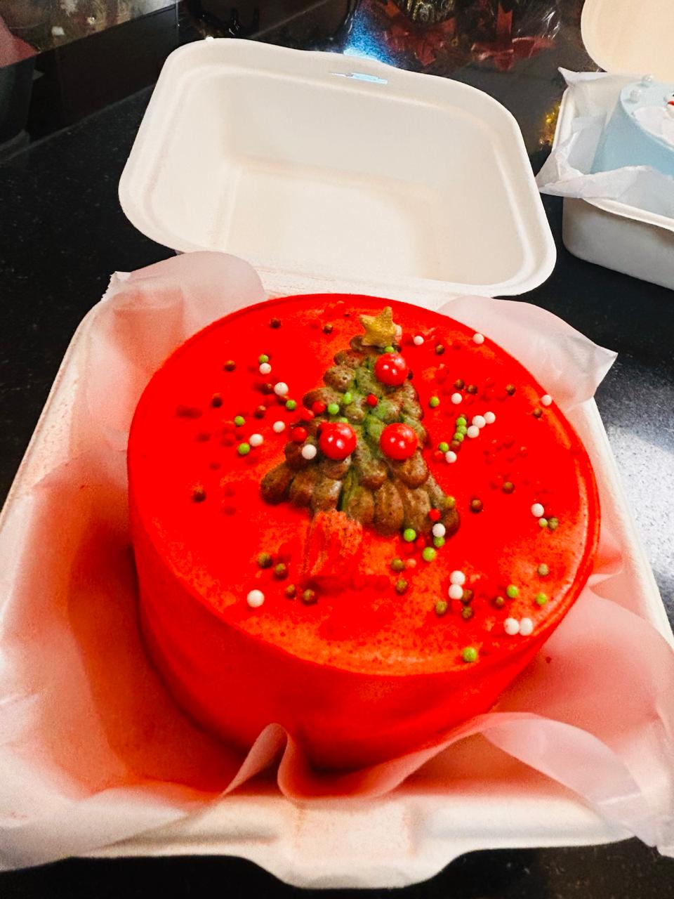 Festive Christmas Tree Bento Cake