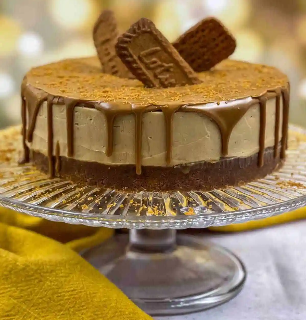 Lotus Cheese Cake | Doon Memories The Baker