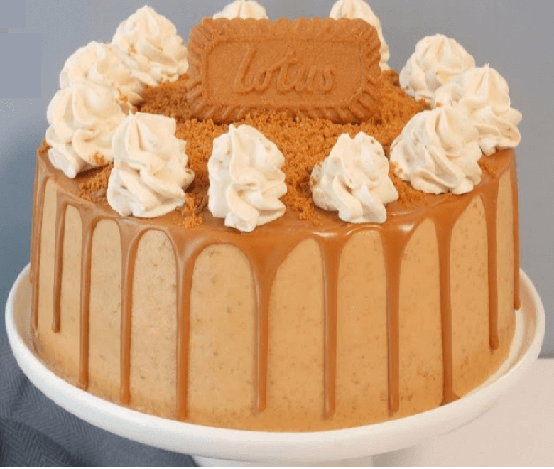 Lotus Cheese Cake - Doon Memories The Baker