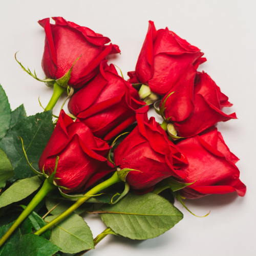 RED ROSES