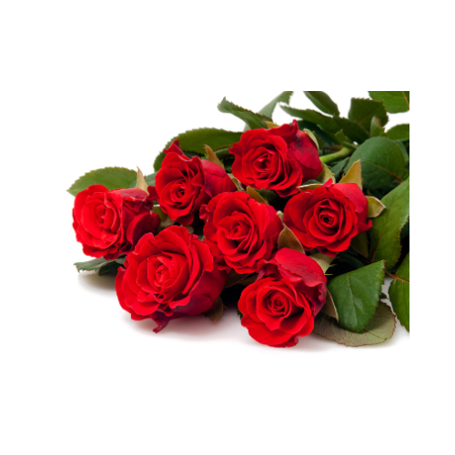 6 red roses bouquet